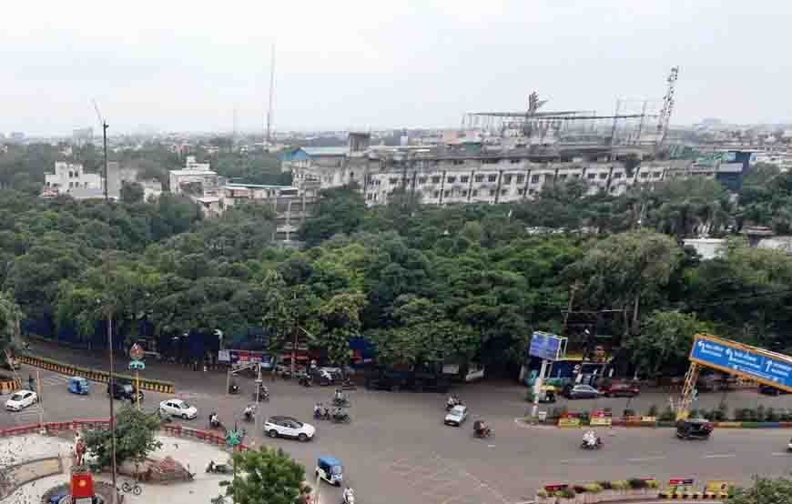 इंदौर में 182 हरे-भरे पेड़ों की कटाई को हाई कोर्ट की सशर्त मंजूरी, हजारों पक्षी होंगे प्रभावित