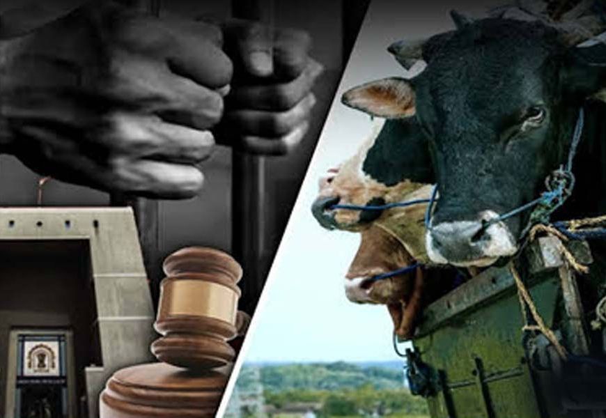 छत्तीसगढ़ में गौ हत्या के आरोपियों का केस नहीं लड़ेंगे वकील, लिखित पत्र जारी