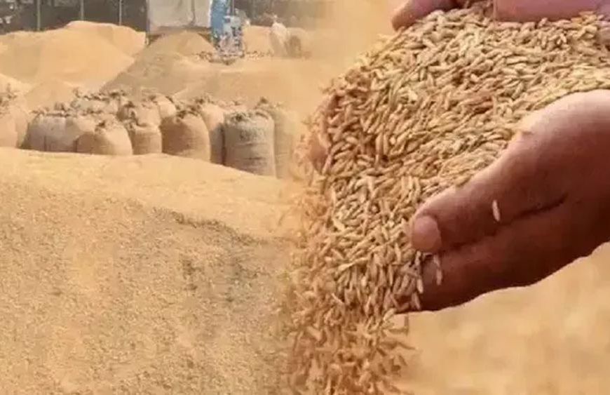 झारखंड के किसानों को अब धान पर मिलेगा ₹109 प्रति क्विंटल बोनस, सरकार पर पड़ेगा ₹43.60 करोड़ का अतिरिक्त बोझ