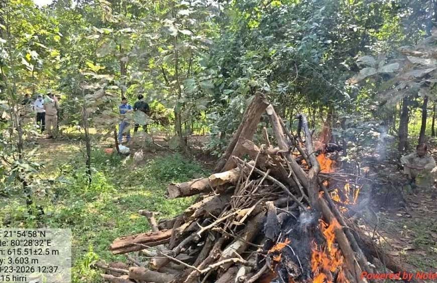 दरिंदगी की हद पार: तेंदुए को करंट देकर मार डाला, फिर टंगिया से काट लिए चारों पंजे