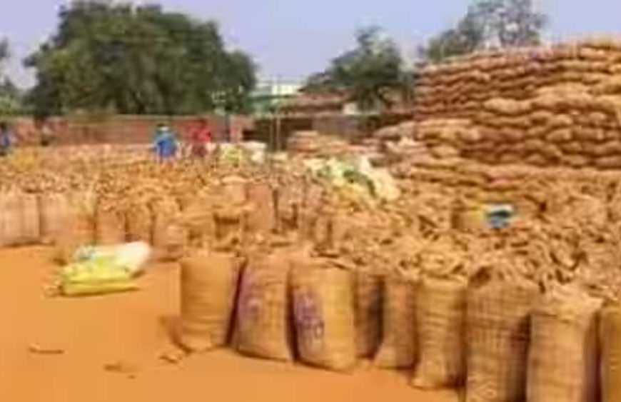 15 नवम्बर से शुरू होगी धान खरीदी, 27.50 लाख से अधिक किसानों से ₹3100 प्रति क्विंटल की दर से खरीदा जाएगा धान