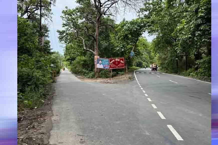भोपाल के जंगलों से गुजरेंगी 60 मीटर चौड़ी सड़कें, बाघों के मूवमेंट पर मंडराया खतरा