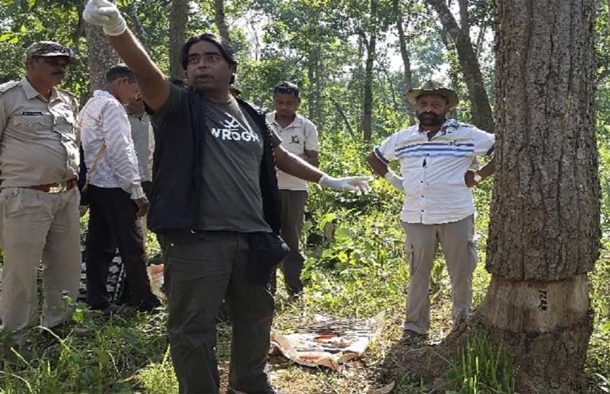 छत्तीसगढ़ के उदंती में 3500 पेड़ों को सुखाने की साजिश! बेंगलुरु से पहुंचे ट्री डॉक्टर ने संभाला मोर्चा