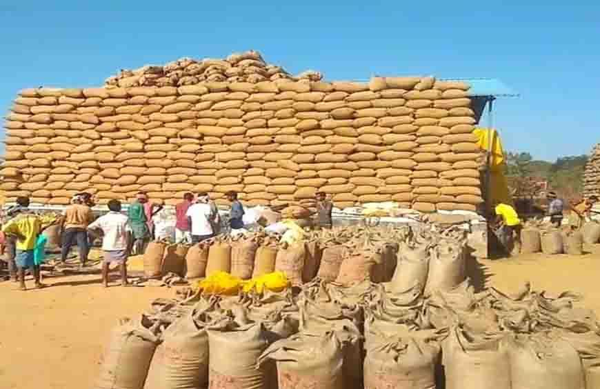 छत्तीसगढ़ में 15 नवंबर से धान खरीदी, ₹3100 MSP और 21 क्विंटल प्रति एकड़ की सीमा; जानें टोकन कैसे मिलेगा