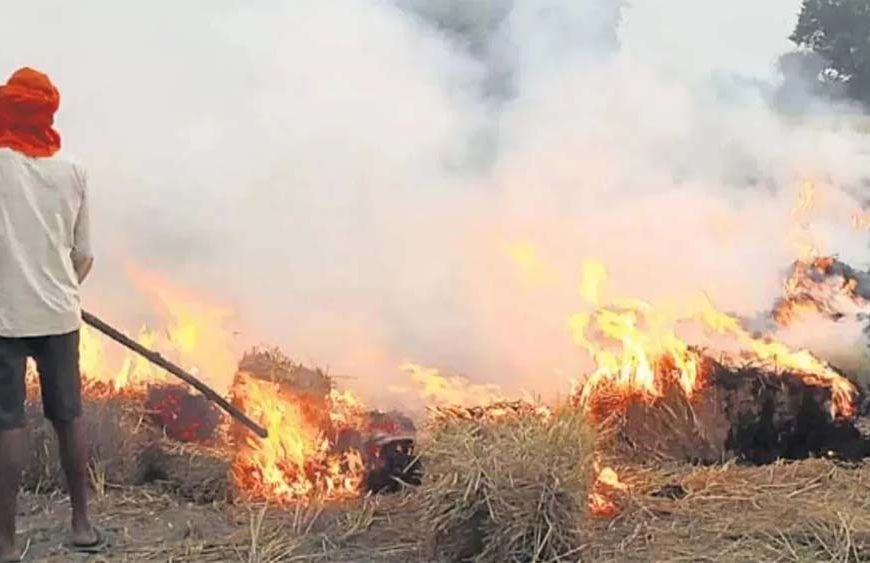 तरनतारन में पराली जलाने से रोकने पहुंचे अधिकारी पर हमला, 90 किसानों के खिलाफ केस दर्ज