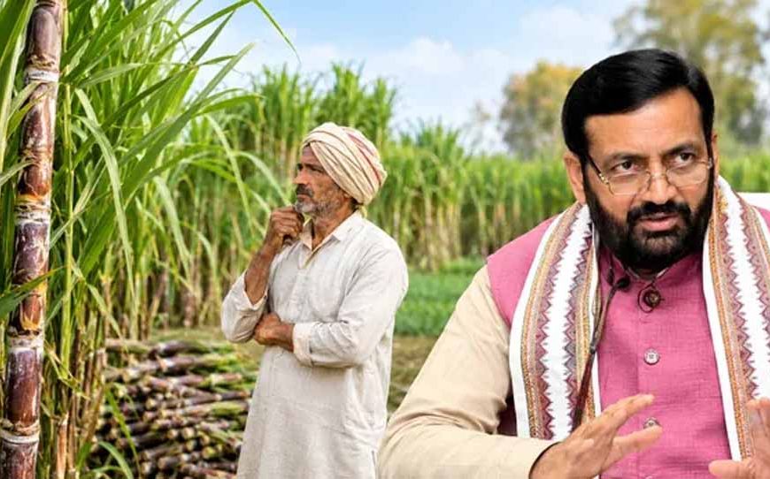 हरियाणा के गन्ना किसानों को दिवाली का तोहफा, दो साल में 35 रुपये बढ़ेगा भाव, अब मिलेंगे 450 रुपये प्रति क्विंटल