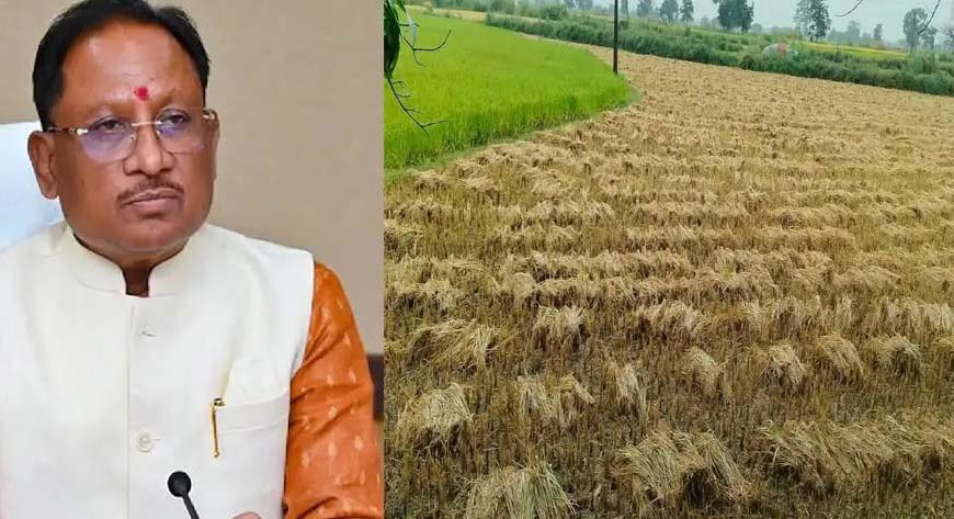 CM साय का बड़ा निर्देश, ‘अर्नब’ चक्रवात से फसल नुकसान का होगा सर्वे; जल्द मिलेगा मुआवजा