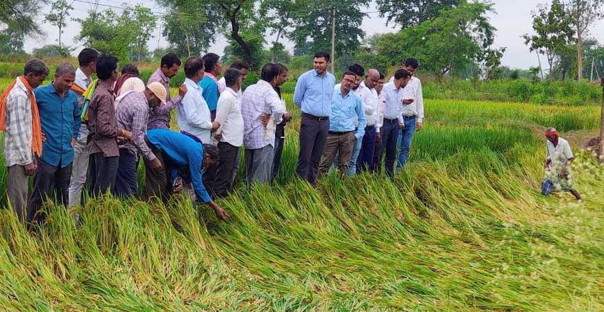 अर्नब तूफान से प्रभावित किसानों को राहत देने सक्रिय हुआ प्रशासन, फसल क्षति का सर्वे शुरू