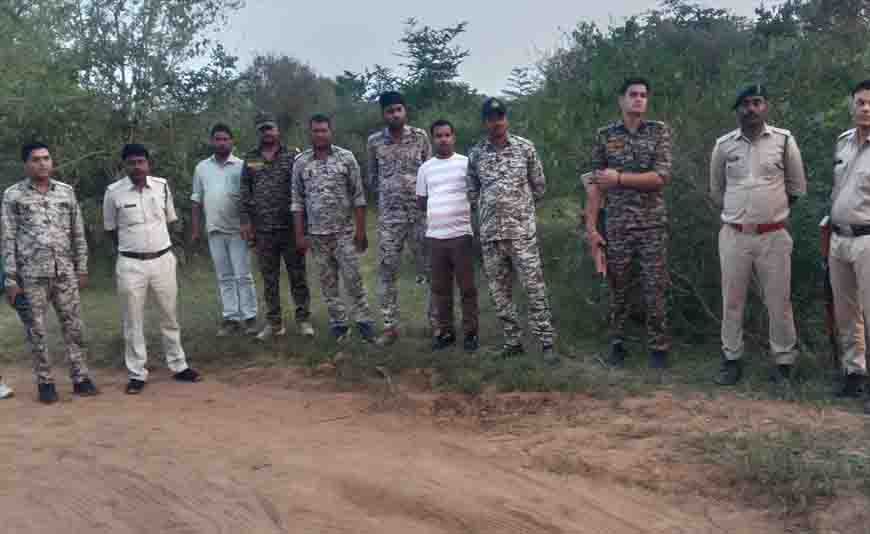कूनो में चीते की गोली मारकर हत्या का मामला, 6 वनकर्मी सस्पेंड और STF गठित